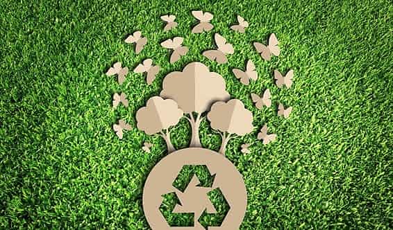 Karbon Ayak İzimizi Azaltıyoruz